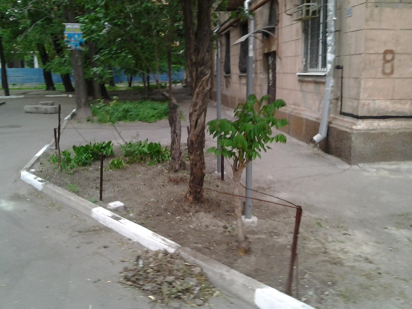 до 5.jpg
