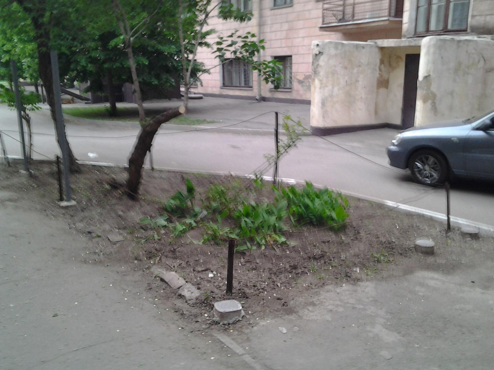 до 2.jpg