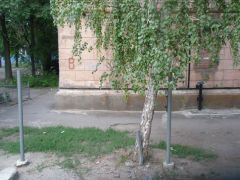 сейчас 8.JPG