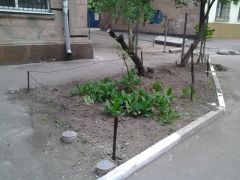 до 3.jpg