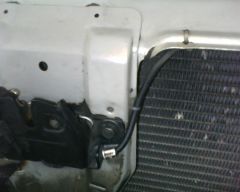 IMG0206A.jpg