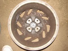IMG_7949.JPG