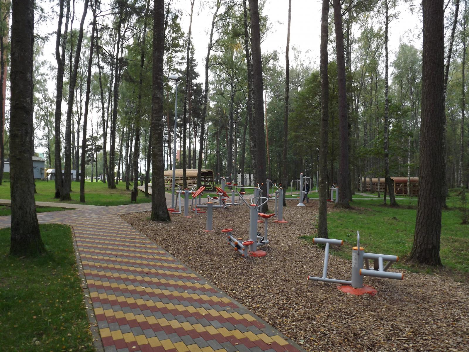 DSCF1970.JPG