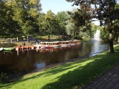 DSCF1134.JPG