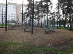 DSCF1969.JPG