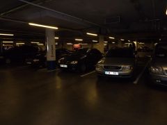 DSCF1102.JPG