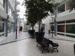 DSCF1351.JPG