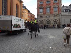 DSCF1446.JPG