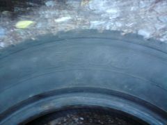 DSC01240.JPG