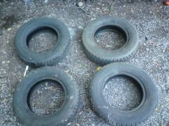 DSC01242.JPG