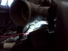 IMG_20120724_175749.jpg
