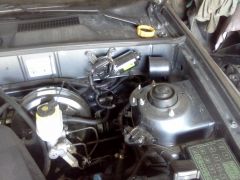 IMG_20120724_152647.jpg