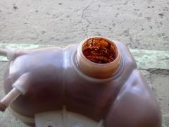 IMG_20120724_152700.jpg