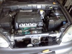 IMG_20120724_152607.jpg