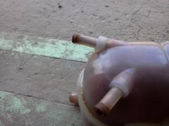 IMG_20120724_152708.jpg