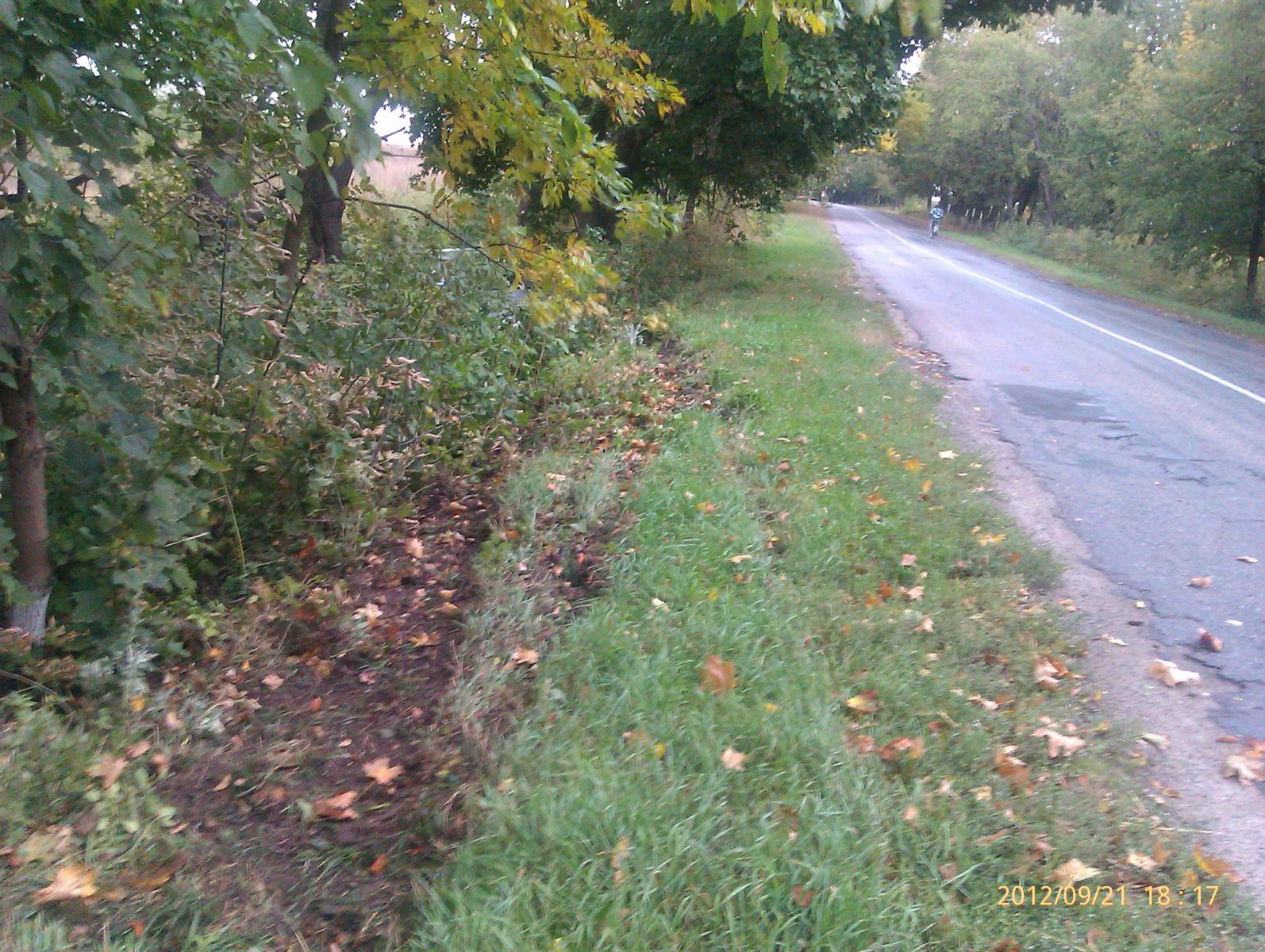 IMAG0147.jpg