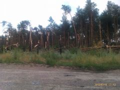 Ветер в Каневе погулял