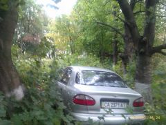 IMAG0151.jpg