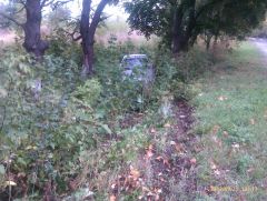 IMAG0149.jpg