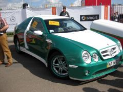 IMG_0553.JPG