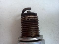 IMG20121021_003.jpg