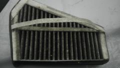 IMAG0923.jpg