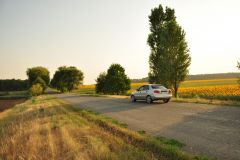 DSC_1120.JPG