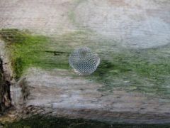 IMG_1711.JPG