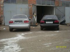 SL370962.JPG