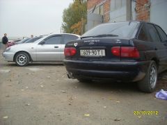 SL370965.JPG