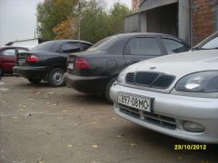 SL370966.JPG