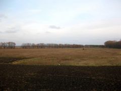 IMG_0717.JPG