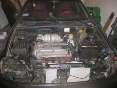 IMG_0736.JPG