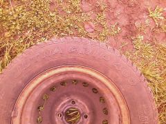 IMG_20121118_122051.jpg