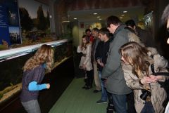 IMG_7871.JPG