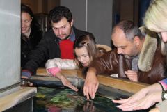 IMG_7925.JPG