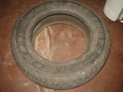 DSC08805.jpg