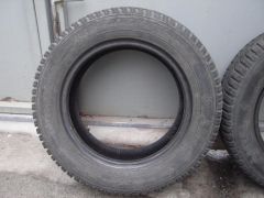 DSC00204.JPG