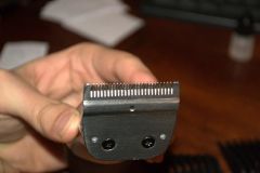 _DSC0209 (
