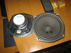 IMG_4775.JPG