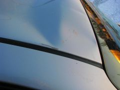 IMG_0981.JPG
