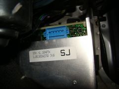 DSC07096.JPG