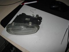IMG_0556.JPG
