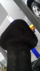 IMAG1045.jpg