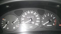 IMAG1024.jpg