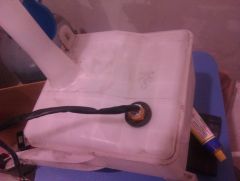 IMAG0306.jpg