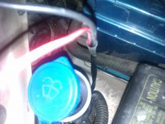 IMAG0307.jpg