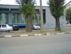 DSC01270.JPG
