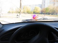 IMG_9027.JPG