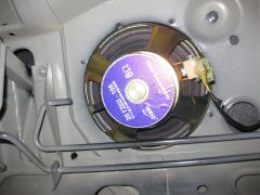 IMG_4557.JPG
